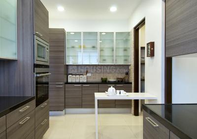 Project Images