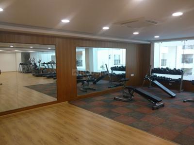 Project Image of 1569.0 - 2008.0 Sq.ft 3 BHK Apartment for buy in Vaswani Brentwood