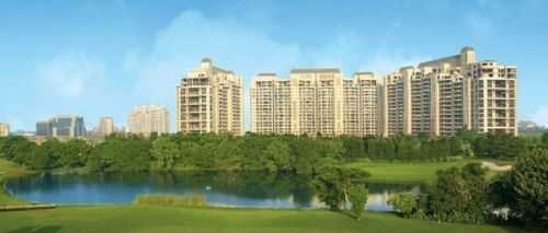 Lotus Greens Lotus Green - Image 4