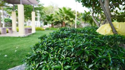 Project Image of 435.94 - 2401.11 Sq.ft Residential Plot Plot for buy in Soumya Greenville Extn