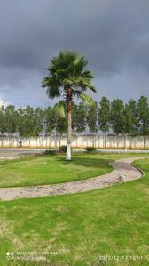 Project Image of 1420.3 - 7688.34 Sq.ft Residential Plot Plot for buy in Sia Elite Serene Palms