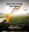 Mirrikh Residential Plot In Dholera Smart City Others 1