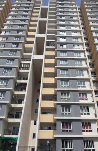 Project Image of 1443.0 - 1546.0 Sq.ft 3 BHK Apartment for buy in Embassy Residency Phase 2