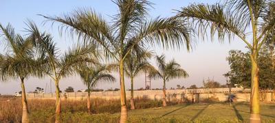 Project Image of 0.0 - 1622.77 Sq.ft Residential Plot Plot for buy in Wallfort Vatika Phase 1