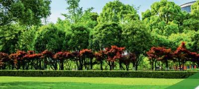 Project Image of 1167.67 - 6056.64 Sq.ft Residential Plot Plot for buy in Parijatha Green City