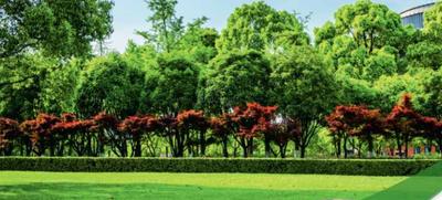 Parijatha Green City