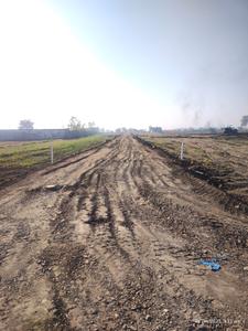 Project Image of 3000.0 - 10000.0 Sq.ft Agricultural Land Agricultural Land for buy in Priyanka Green Legacy Farms