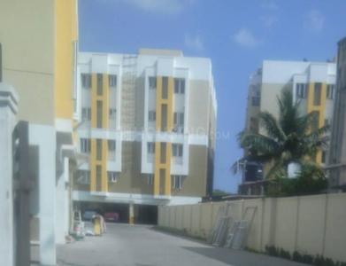 Project Images