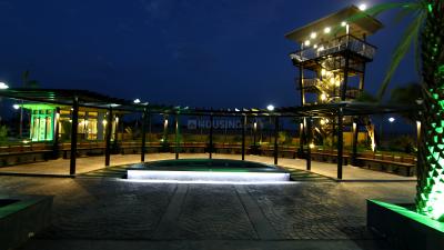 Project Image of 792.0 - 1350.0 Sq.ft 1 BHK Villa for buy in Aagam 9