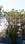 Gallery Cover Pic of S S Developers REDEVELOPMENT OF SITA SADAN RISHAB VILLA