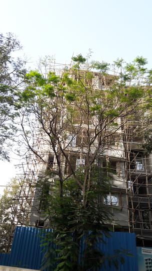 Gallery Cover Pic of S S Developers REDEVELOPMENT OF SITA SADAN RISHAB VILLA