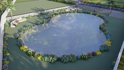 Project Images
