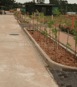 Project Images