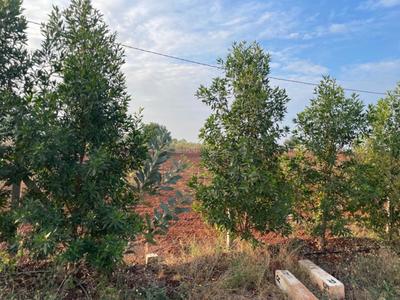 Project Image of 1089.0 - 5445.0 Sq.ft Residential Plot Plot for buy in V Navya Greens