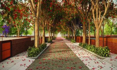 Tangled Up In Green Landscape Garden and Tree Planting 4
