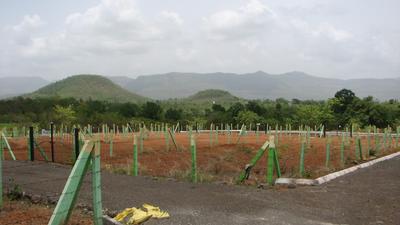 Project Image of 1494.0 - 14400.0 Sq.ft Residential Plot Plot for buy in Satya Hema Gardens