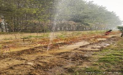 Project Image of 810.0 - 2250.0 Sq.ft Residential Plot Plot for buy in Hero Alaknanda Plots