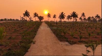Project Image of 0.0 - 6000.0 Sq.ft Residential Plot Plot for buy in Neralu Farms Korlaparthi