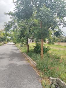 Project Image of 1500.0 - 2800.0 Sq.ft Residential Plot Plot for buy in Signature Grande Phase 1