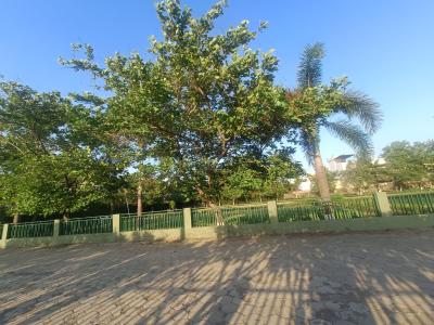 Project Image of 1400.0 - 1960.0 Sq.ft 3 BHK Villa for buy in Bhojpal Shri Radha Krishna Residency Phase II
