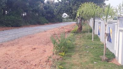 Project Image of 1350.0 - 2250.0 Sq.ft Residential Plot Plot for buy in Akshita Golden Pride