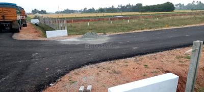 Project Images