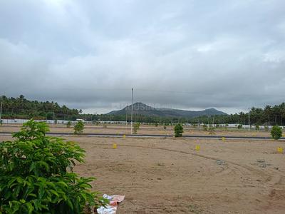 Project Image of 435.0 - 2656.0 Sq.ft Residential Plot Plot for buy in RR Oak Tree
