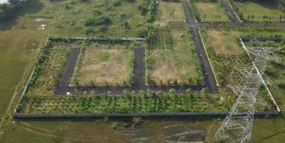 Project Image of 0.0 - 2057.0 Sq.ft Residential Plot Plot for buy in RLD Royal Pearl