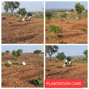 Project Image of 5445.0 - 9000.0 Sq.ft Agricultural Land Agricultural Land for buy in Harivillu Wild Wood