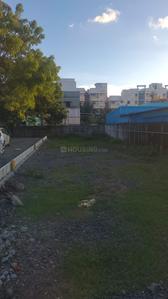 Gallery Cover Pic of Elite Aruna Nagar