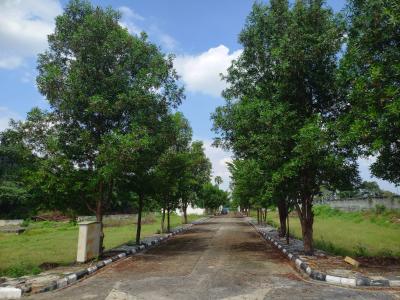 Project Image of 1474.66 - 4014.94 Sq.ft Residential Plot Plot for buy in Vimala Vyoma