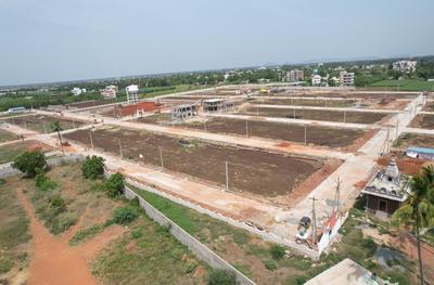 Project Image of 1602.0 - 3024.0 Sq.ft Residential Plot Plot for buy in Sun Siri Bhramara Homes