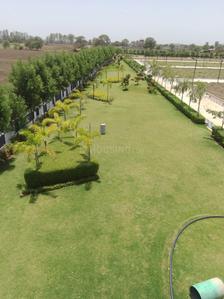 Project Image of 800.0 - 1000.0 Sq.ft Residential Plot Plot for buy in Mamta Golden Valley