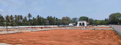 Project Images