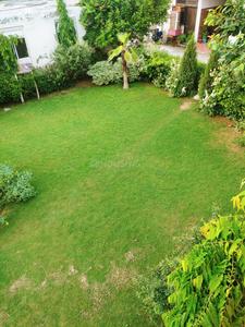 Project Image of 615.0 - 1580.0 Sq.ft 1 BHK Villa for buy in Globus Palm Greens