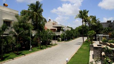 Project Image of 3340.0 - 3621.0 Sq.ft 4 BHK Villa for buy in Koncept Palm County Rows