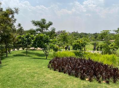 Project Image of 900.0 - 10000.0 Sq.ft Residential Plot Plot for buy in Mauli Nagar 09 Sector A