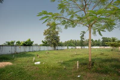Project Image of 903.74 - 4717.07 Sq.ft Residential Plot Plot for buy in Suryo Udyog Green Village