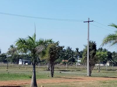 Project Image of 450.0 - 2400.0 Sq.ft Residential Plot Plot for buy in Miraacle Green Town Villa Plots Ponneri