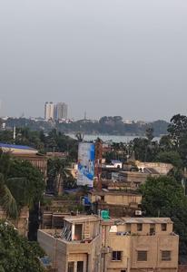Project Image of 777.0 - 1610.0 Sq.ft 1 BHK Apartment for buy in Crown Estrella