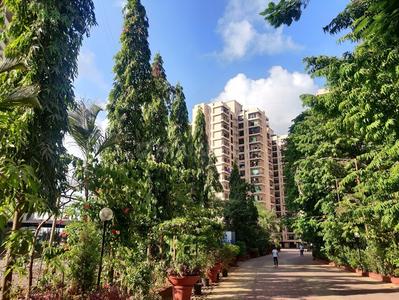 MM Valley Elevation 1