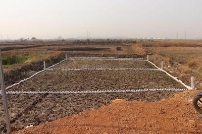 Project Image of 1000.0 - 10000.0 Sq.ft Residential Plot Plot for buy in Prime Properties Vindhane