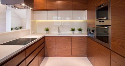 Manas Krishna Dhan Kitchen 2