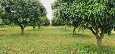 Project Image of 5000.0 - 10000.0 Sq.ft Residential Plot Plot for buy in ARB Earthen Farms