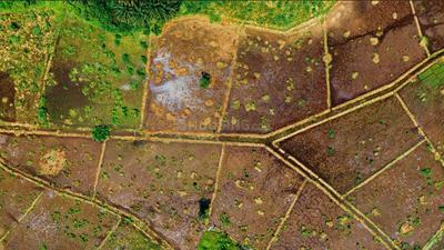 Project Image of 1633.0 - 4464.0 Sq.ft Residential Plot Plot for buy in Fourwalls Mookambika Layout