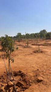 Project Image of 1350.0 - 1800.0 Sq.ft Residential Plot Plot for buy in AVM Keertika Farms