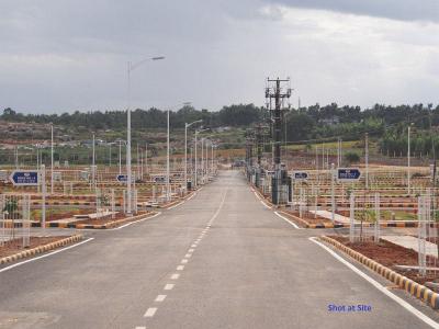 Project Image of 1200.0 - 4000.0 Sq.ft Residential Plot Plot for buy in Ascent County