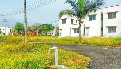 Project Image of 1350.0 - 7000.0 Sq.ft Residential Plot Plot for buy in Value Sree Hayagrivar Nagar