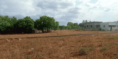 Project Images