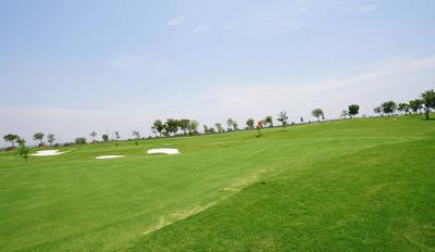 Project Image of 4500 Sq.ft 2.5 BHK Duplex for sale in Tukkuguda for Rs. 50000000